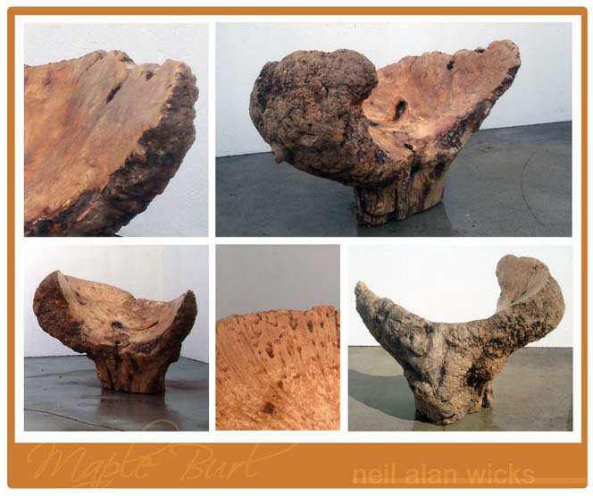 Maple Burl